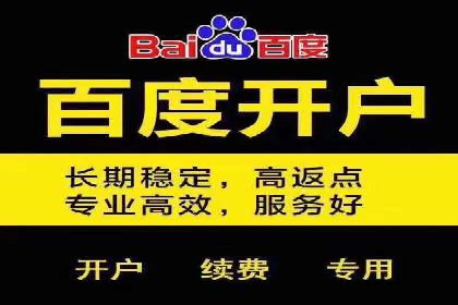 短视频平台上的信息流广告投放效果分析